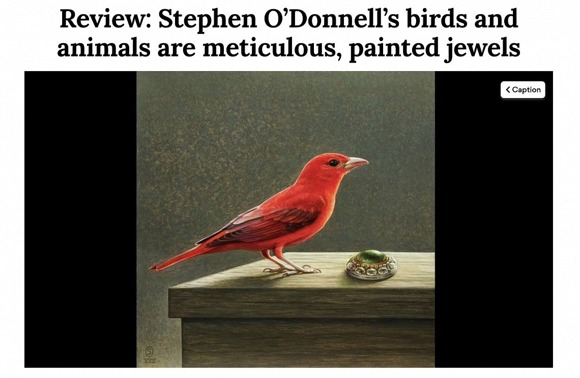AJC Review of Stephen O'Donnell's 2022 Show