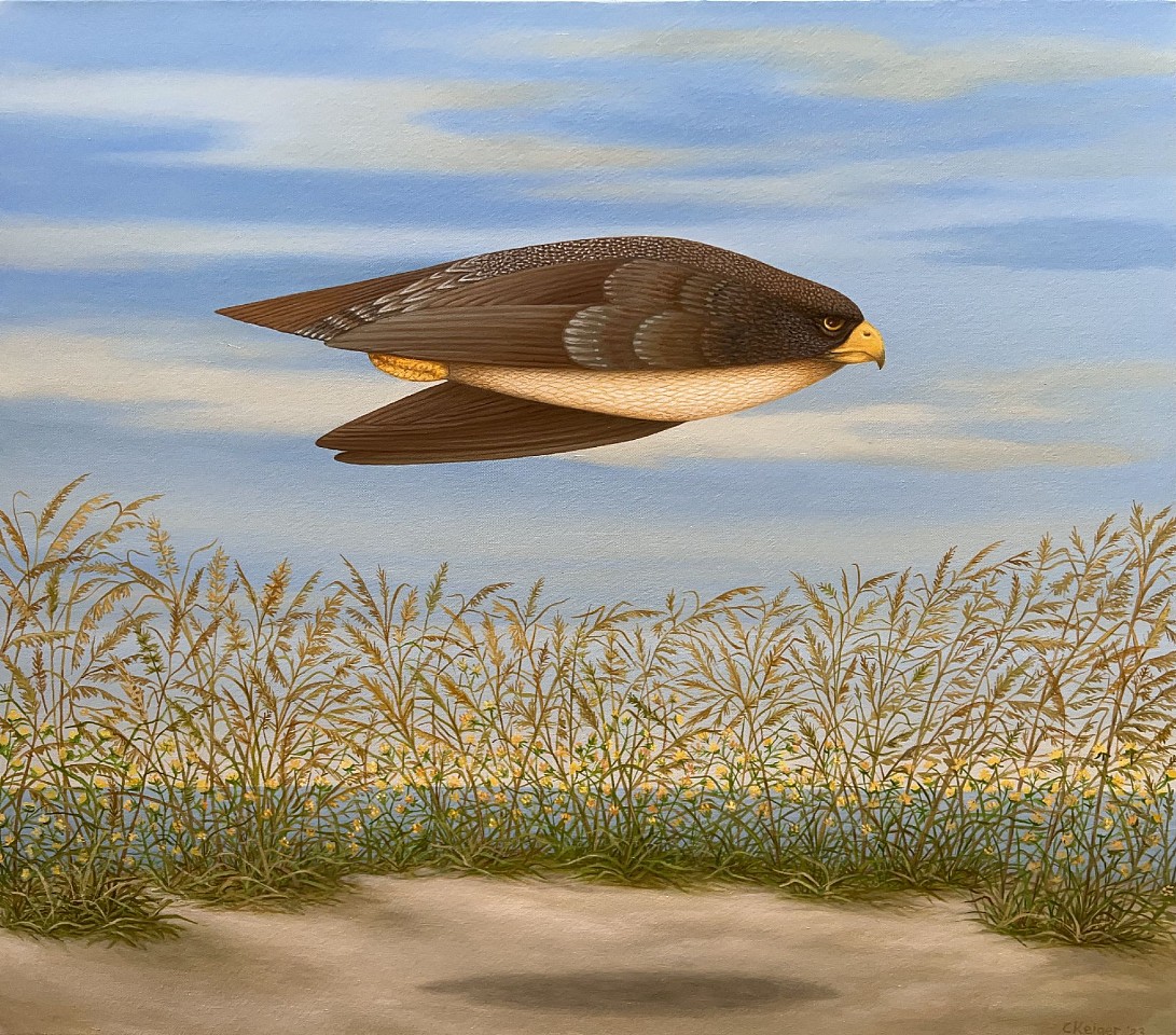 Charles Keiger, Fly Over ( Land and Sea), 2023
oil on canvas, 30"x 34", 34"x 38" framed
CK 687
Price Upon Request