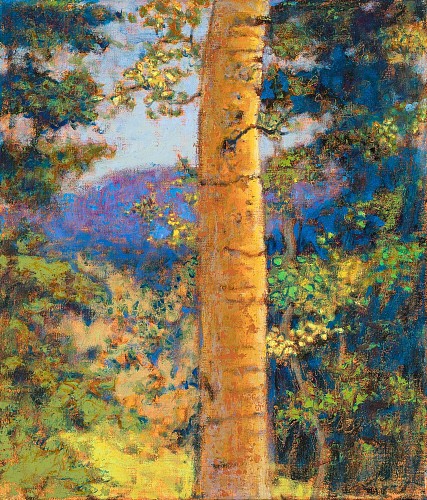 Sentinel, 2017