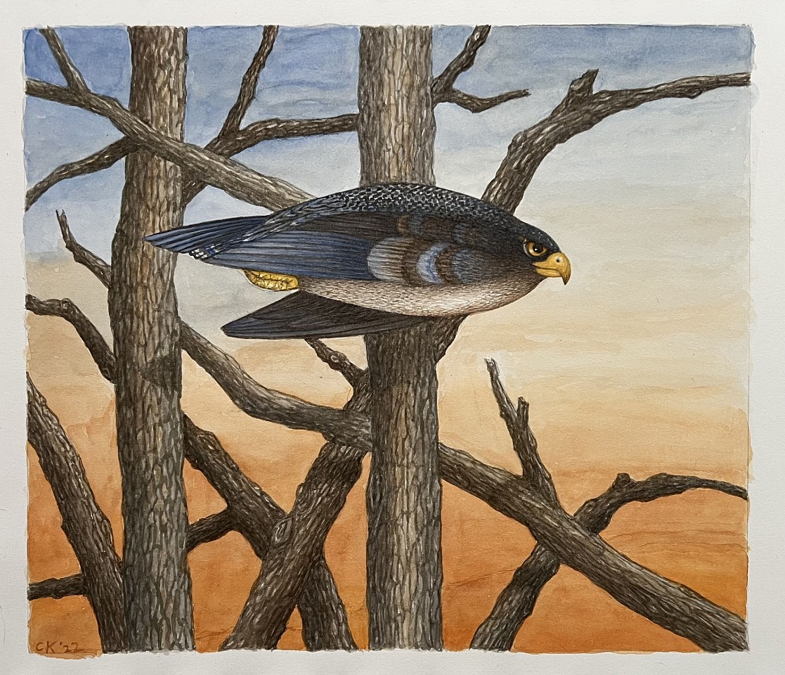 Charles Keiger, The Flyover IV, 2000
watercolor on paper, 13"x 15 ", 25" x 27" framed
CK 684
Price Upon Request
