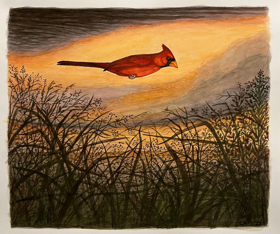 Charles Keiger, Cardinal, 2023
watercolor on paper, 13"x 15"
CK 689
Price Upon Request