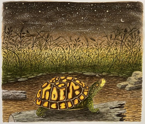 Cosmic Dust (BROWN) Turtle., 2025