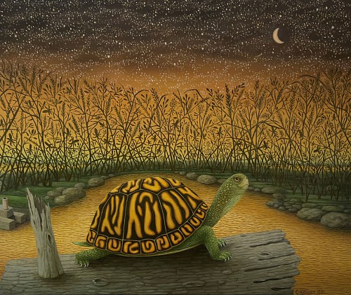 Cosmic Dust (Turtle), 2025