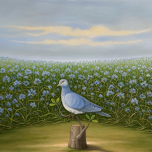 Exhibition: A NATURAL WORLD OF WONDER, Charles Keiger