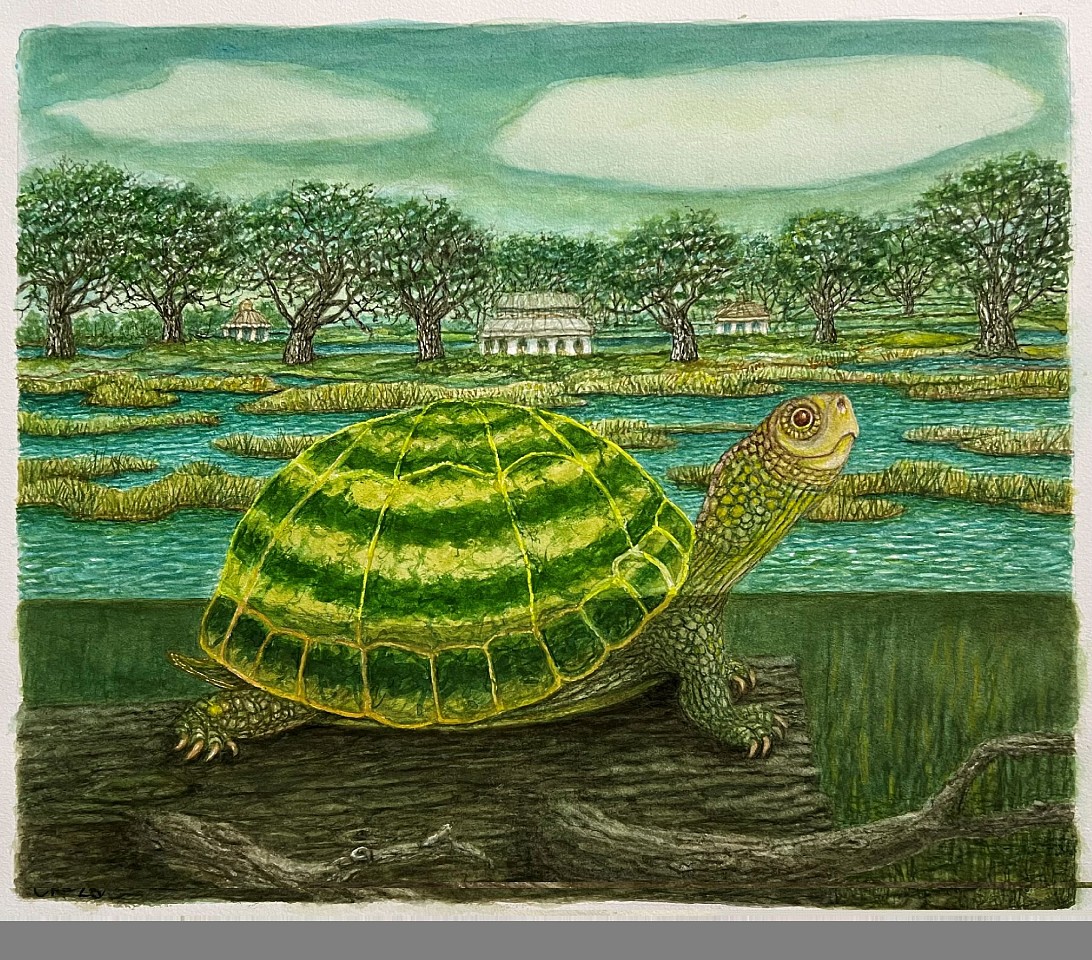 Charles Keiger, Water Turtle, 2026
15"" x 18"" unframed
watercolor on paper
CK 714
Price Upon Request